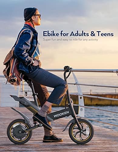 Electric Bike,Electric Scooter 12