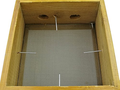 Winterworm Bamboo Four Hole 4 Hole Healing Box for Moxa Moxibustion Medicine Therapy