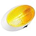 Lumitronics RV 12V LED Oval Porch Utility Light with On/Off Switch, Clear & Amber Lenses For Motorhomes, Campers, Trailers, 5th Wheels (White)