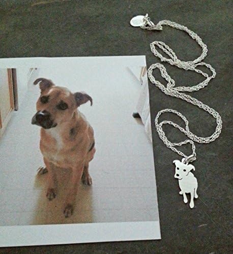 Custom Dog Necklace, Your Pet as a Pendant, Sterling Silver TaGette Silhouette and Chain Necklace