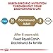 Royal Canin Dachshund Adult Breed Specific Dry Dog Food, 2.5 lb bag