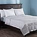 puredown® Blankets Queen Size - Soft Lightweight Down Blanket for All Seasons, Cozy Warm Luxury Bed Blanket with Satin Trim, Cotton Cover, Light Grey (90