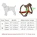 Beirui Leather Dog Harness - No Escape Training Harness Chest 15.5-18” for Small Dogs