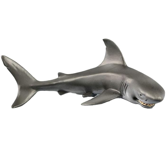 The 2 Best Small Shark Species For Aquarium Product Reviews