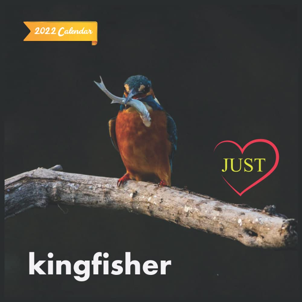 Just Kingfisher Calendar 2022: Official Kingfisher 2022 Calendar (12 Months) Birds Calendar 2022 ,Square 2022 Calendar: Pub Print, Calendar 2022: 9798543972946: Amazon.com: Books