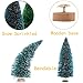 Nilos 53 PCS Artificial Mini Christmas Trees Set, Bottle Brush Trees with Wood Base Tabletop Sisal Trees for Winter Crafts Christmas Themed Decor 5 Colors and 7 Sizes