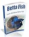 Betta Fish: Learn All About The Amazing Betta Fish