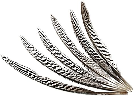 Hgshow Silver Pheasant Feathers 6-8 inches,hand sorting,per pack of 20