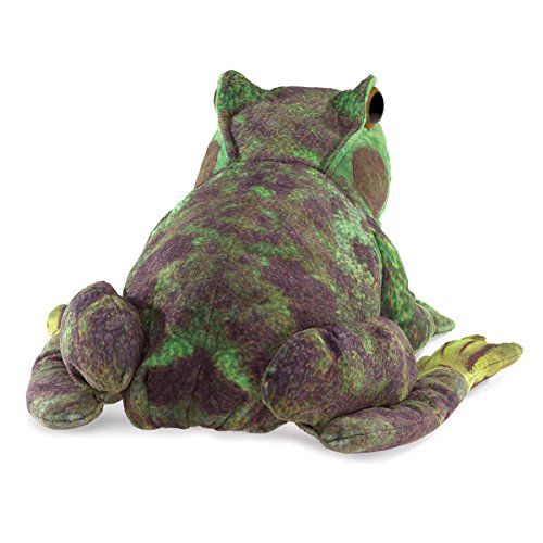 Folkmanis Frog Life Cycle Hand Puppet