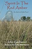 Spirit In The Red Amber: A novel of an American Indian