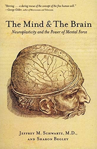 The Brain's Way of Healing: Remarkable Discoveries and Recoveries