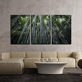 3 Piece Canvas Wall Art - Green Bamboo Forest - Modern Home Art Stretched and Framed Ready to Hang - 16"x24"x3 Panels