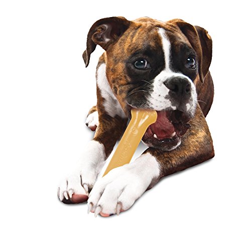 Nylabone Dura Chew Flavored Bone Dog Chew Toy, Giant/Large - Original Bone