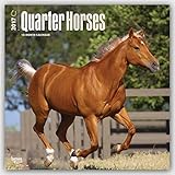 2017 Monthly Wall Calendar - Quarter Horses by 