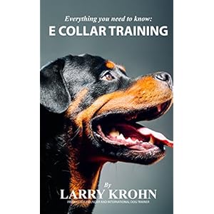 Everything you need to know about E Collar Training