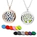 RoyAroma 30mm Car Aromatherapy Essential Oil Diffuser Stainless Steel Locket with Vent Clip 12 Felt Pads-Tree of Life Black