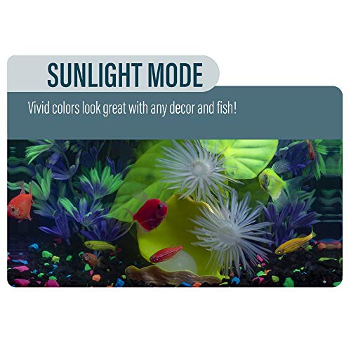 GloFish Betta Aquarium Kit - Image 8