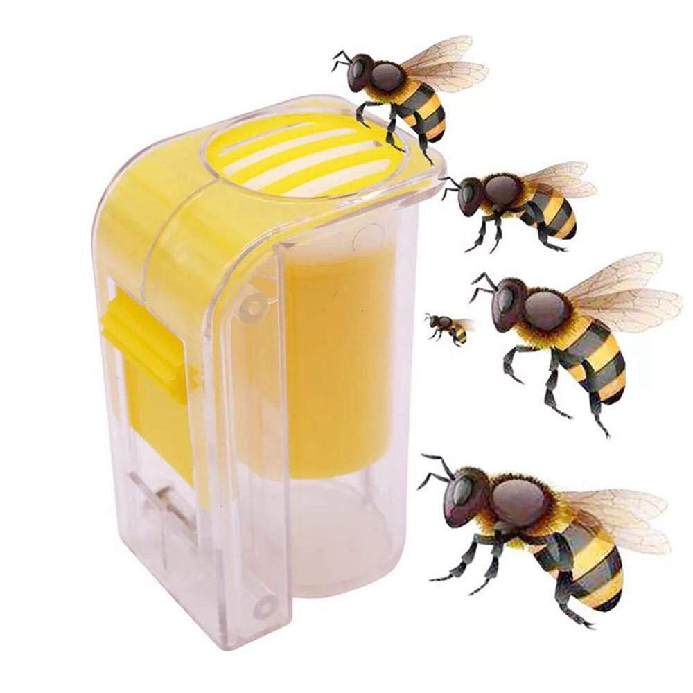 Bee Bee