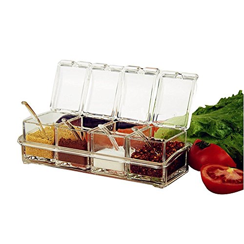 ParaCity Kitchen Gourmet Acrylic Seasoning Box with 4 Serving Spoons, Nice Design for Kitchen (Seasoning Box)