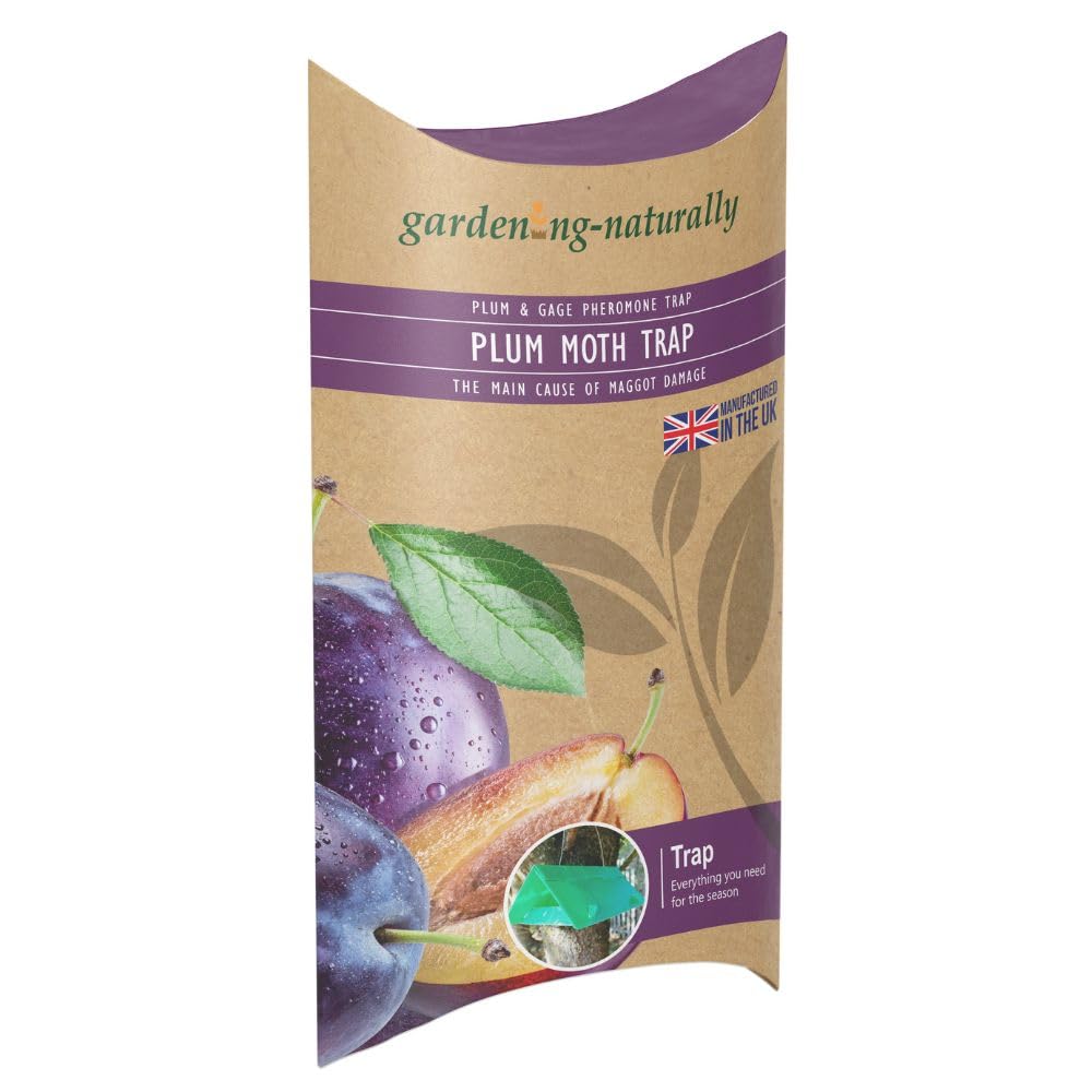 Plum Moth Pesticide Free Pheromone Trap (Plum Moth Trap)