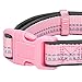 Blueberry Pet Dog Collar for Medium & Small Dogs, Pink Reflective Girl Dog Collar, Padded Neoprene Comfort, Adjustable 14.5