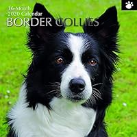 The Gifted Stationery 2020 Wall Calendar - Border Collies Design