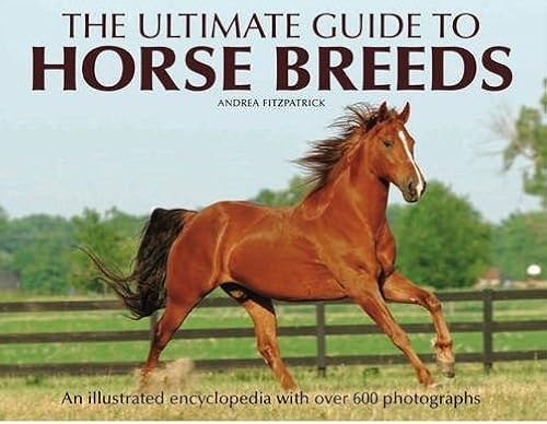 Download The Ultimate Guide to Horse Breeds PDF