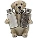 Labrador Retriever Salt and Pepper Shaker Set with Decorative Display Stand Dog Figurine Holder for Lodge & Hunting Cabin Kitchen Decor Table Centerpieces As Puppy Gifts for Hunters
