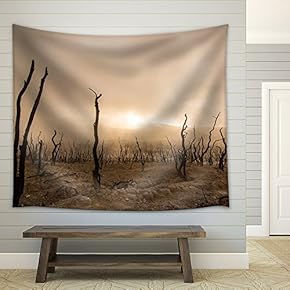 Wasteland with Foggy Sky - Fabric Wall Tapestry Home Decor - 51x60 inches