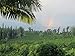 Imagine Kona Organic Coffee Beans | Arabica Kona Beans | Top Grade Air Roasted | Medium Dark Roast | Organic Whole Bean - 16oz
