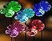 Brilliant & Mo Set of 2 Acrylic Trumpet Flower Garden Stakes Solar Flower Light for Home Patio Deck Lawn Yard Decor