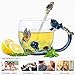 Kpcuisite Tea Cup Glass Coffee Mugs Birthday Gifts For Women,Mothers,Wife, Daughter,Sister,Friends,with Spoon Beautiful Rose Flower Butterfly (Blue x)