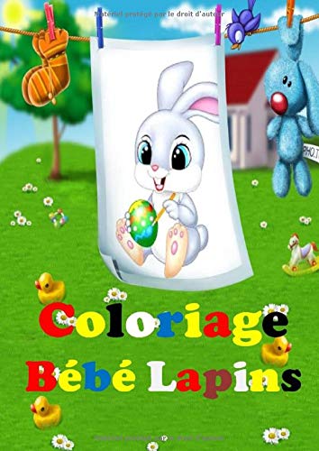 Coloriage Bebe Lapins Broche De 50 Coloriages De Mignon Bebe Lapin Gros Format 21 X 27 9 Cm Uniquement Au Recto Amusement Garanti French Edition Booker The Amazon Com Books