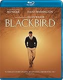 BLACKBIRD                                          image