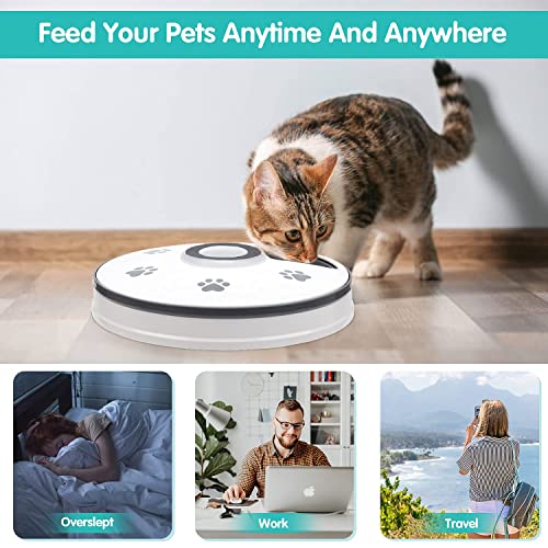 timed cat feeder