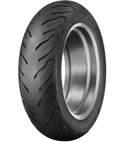 Amazon.com: Dunlop D207 Rear Tire (180/55ZR18) : Automotive