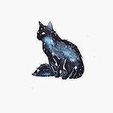 Galaxy Cat Sticker Outdoor Rated Vinyl Sticker Decal for Windows, Bumpers, Laptops or Crafts 5