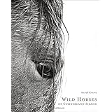 Wild Horses of Cumberland Island