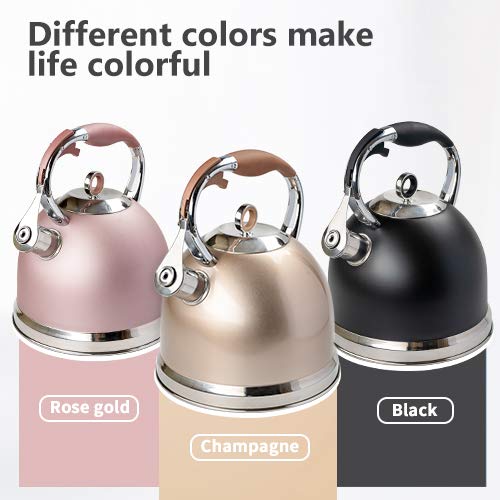 Tea Kettle Best 3 Liter induction Modern Stainless Steel Surgical Whistling Teapot Pot For
