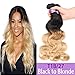 Ombre Brazilian Hair Body Wave Bundles 3pcs, Ombre Brazilian Virgin Hair Human Hair Weave Two Tone Black to Blonde (T1B/27,10