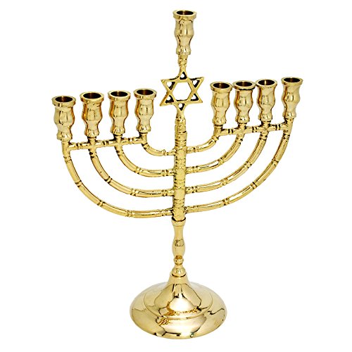 Brass / copper 9 branches Hanukkah Menorah, Israel candle holder 10 inches with Magen David on top