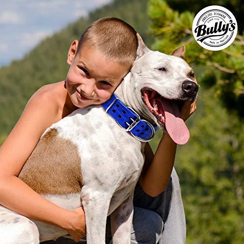 Pitbull Collar, Dog Collar for Large Dogs, Heavy Duty Nylon, Stainless Steel Hardware (Large, Sapphire Blue) - Thumbnail 4