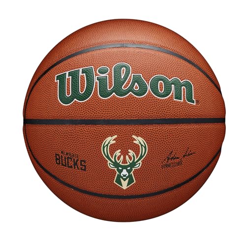 Wilson NBA Team Alliance Basketball