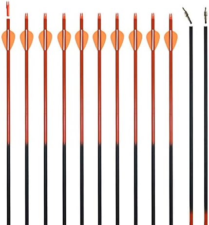 REEGOX Archery Hunting Practice Arrows for Compound and Recurve Bow-30 inch Carbon Target Arrows for Youth & Adults with Removable Tips(Pack of 12)