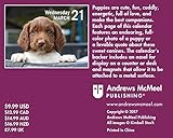 Image de Puppies 2018 Mini Day-to-Day Calendar