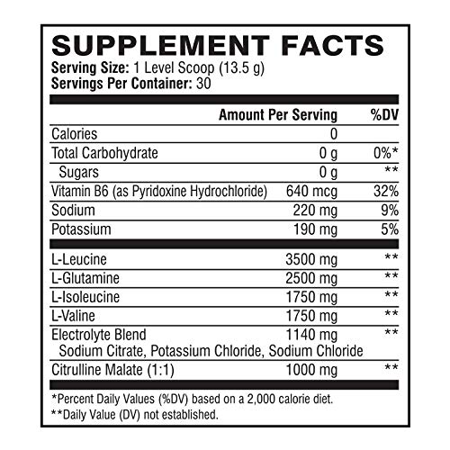 1 Scivation+Xtend+Powder+Branched+Servings