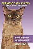 Burmese Cats as Pets: Burmese Cat Facts & Information, where to buy, health, diet, lifespan, types, by Lolly Brown