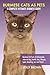 Burmese Cats as Pets: Burmese Cat Facts & Information, where to buy, health, diet, lifespan, types, by Lolly Brown