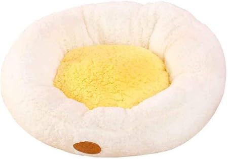 egg yolk for dogs