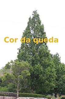 Livro Cor da queda